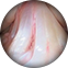 icono